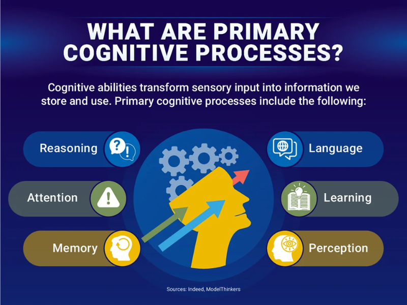 Cognitive Processes