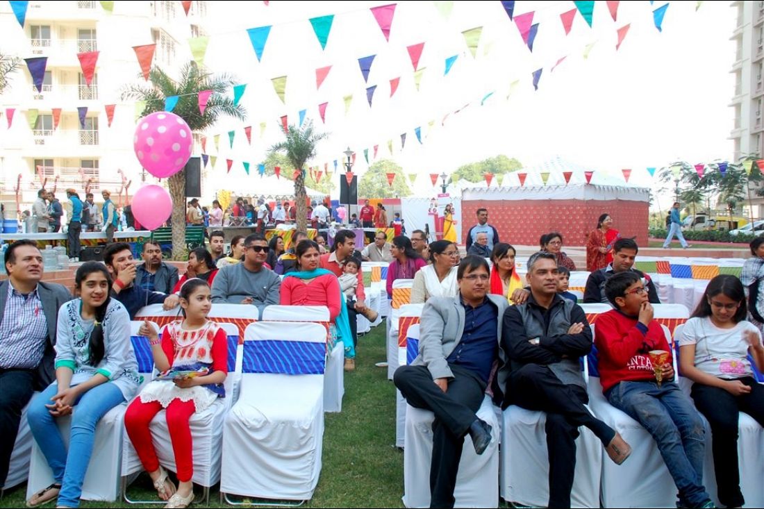 Makar sakranti celebrations